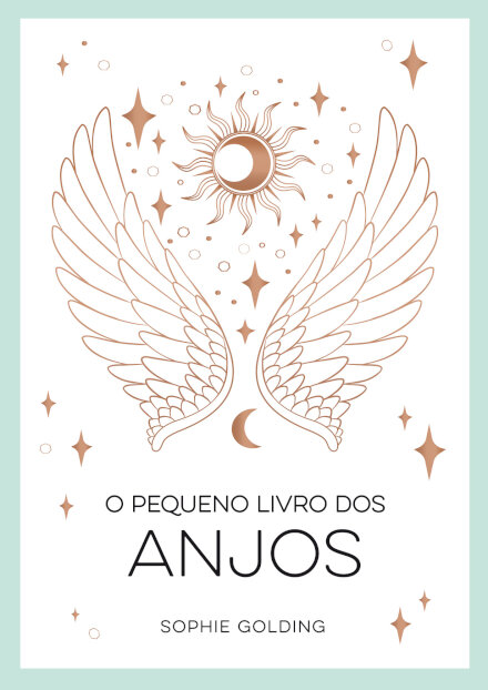 O Pequeno Livro Dos Anjos