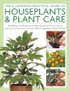 The Illustrated Practical Guide to Houseplants & Plant Care