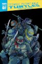 Teenage Mutant Ninja Turtles: Reborn, Vol. 1 - From The Ashes