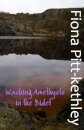 Washing Amethysts in the Bidet