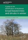 A Guide to the Identification of Deciduous Broad - Leaved Trees and Shrubs in Winter