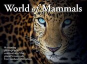 World of Mammals