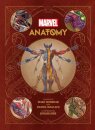 Marvel Anatomy
