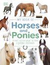 My Book Of Horses And Ponies