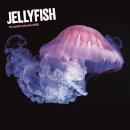 Jellyfish Square Wall Sunday Start Calen