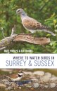 Where to Watch Birds in Surrey and Sussex