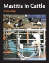 Mastitis In Cattle