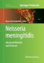 Neisseria meningitidis