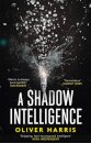 A Shadow Intelligence