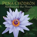 Pema Chodron 2027 Wall Calendar