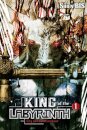 King of the Labyrinth, Vol. 1 (light novel)