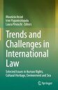 Trends and Challenges in International Law