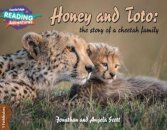 1 Pathfinders Honey and Toto: the story of a cheetah family