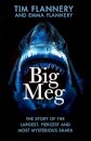 Big Meg