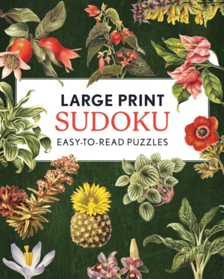 Large Print Sudoku