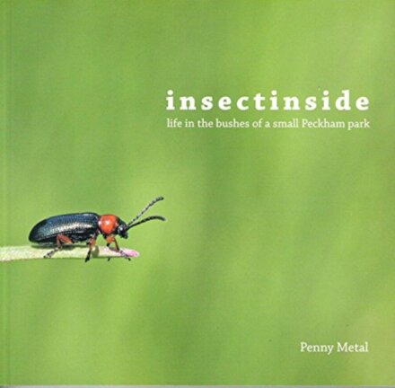 Insectinside