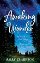 Awaking Wonder – Opening Your Child`s Heart to the Beauty of Learning