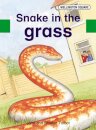 Wellington Square Assessment Kit - Snake in the Grass