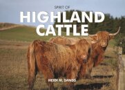 Spirit of Highland Cattle