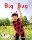 Big Bug