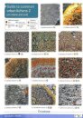Guide to Common Urban Lichens