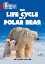 The Life Cycle of a Polar Bear