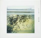 Swimming on the Building