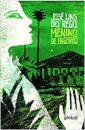 Menino De Engenho