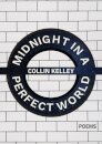 Midnight in a Perfect World
