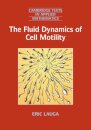 The Fluid Dynamics of Cell Motility