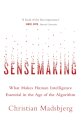Sensemaking