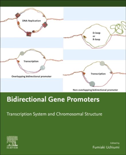 Bidirectional Gene Promoters