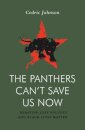 The Panthers Can't Save Us Now