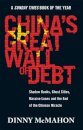 China's Great Wall of Debt