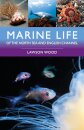 Marine Life of the North Sea and English Channel