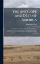 The Antelope and Deer of America