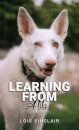 Learning from Albi