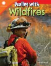 Dealing with Wildfires