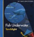 Fish Underwater
