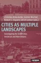 Cities as Multiple Landscapes