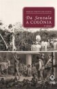 Da senzala à colônia