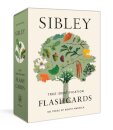 Sibley Tree Identification Flashcards