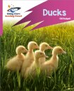 Reading Planet: Rocket Phonics – Target Practice – Ducks – Pink B