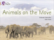 Animals On The Move: Copper