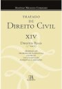Tratado de Direito Civil Volume XIV