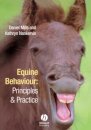 Equine Behaviour