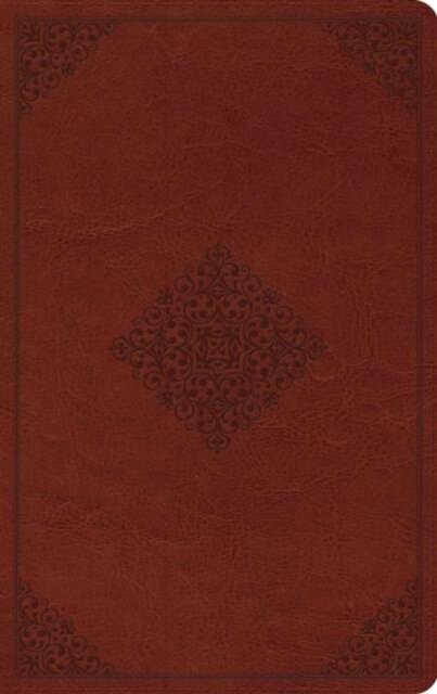 ESV Large Print Value Thinline Bible