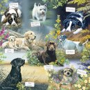 Man's Best Friend 1000 Piece Jigsaw
