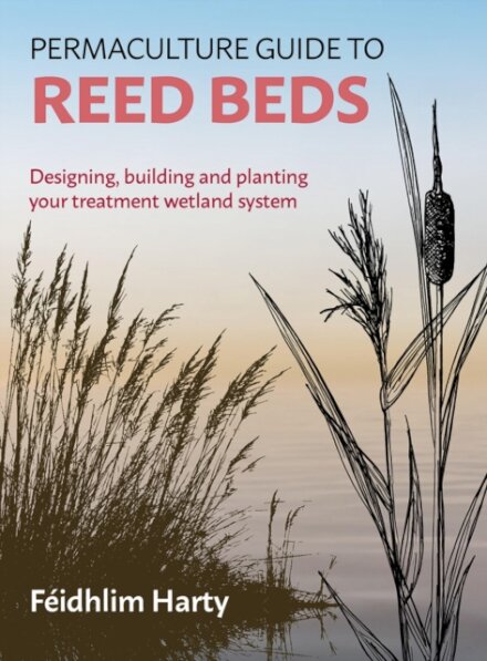 Permaculture Guide to Reed Beds