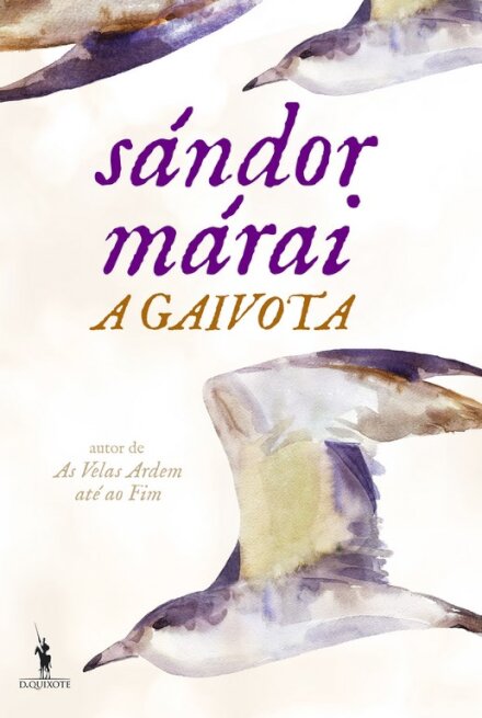 A Gaivota